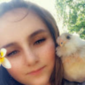 Meet your Posher, Dixie's chicks